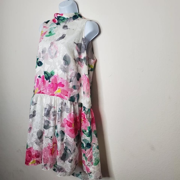 Eliza J Dresses & Skirts - Eliza J Plus Size Floral Graphic Drop Waist Dress